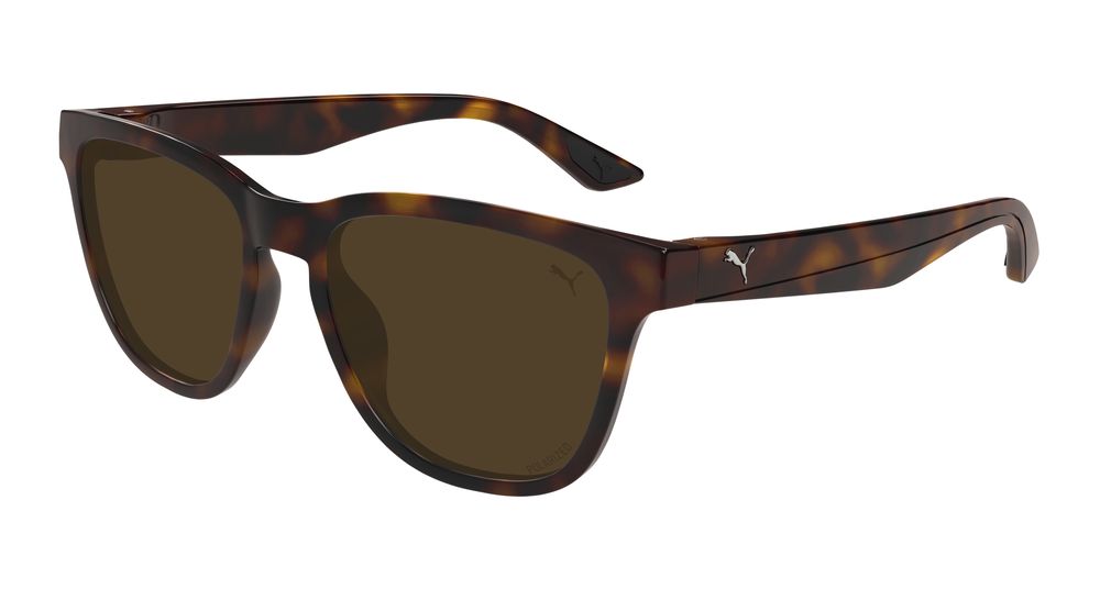 Puma Sunglasses Havana - PU0506S-002