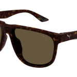 Puma Sunglasses Havana - PU0441S-002