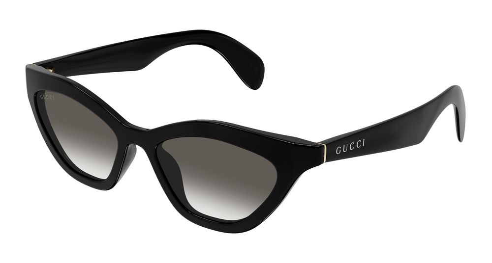 Gucci Sunglasses Black - GG1931S-001